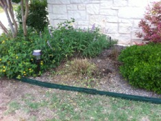 2012-04-30-6607 Conifer Cove-63.jpg